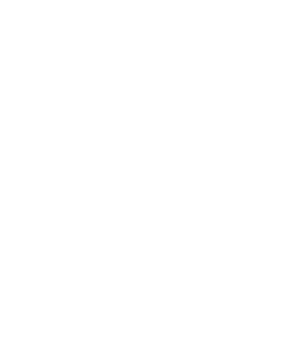 Portal Norte Conectado