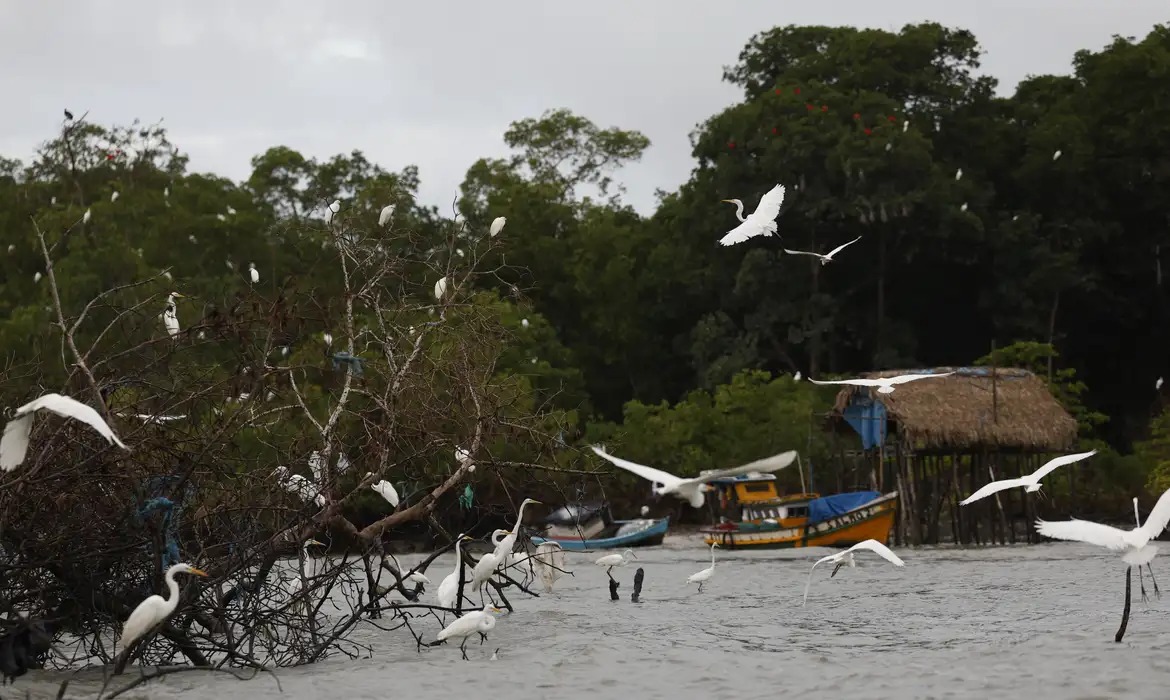 Combate ao tráfico na Amazônia ganha reforço com programa federal