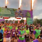 Distribuição de mudas faz parte da programação da Meia Maratona Verde