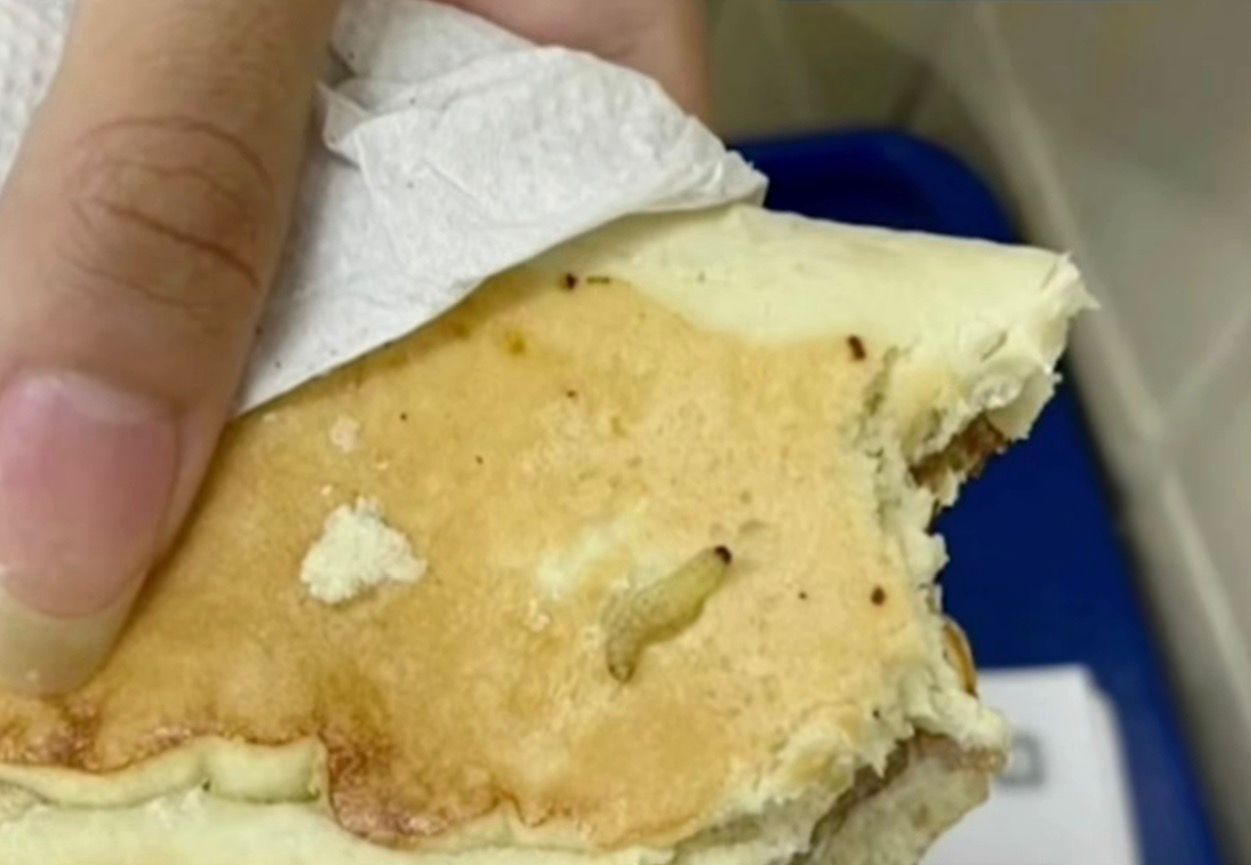 Vídeo mostra larvas em alimentos escolares