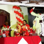 Parintins revive tradição histórica do Boi Garantido