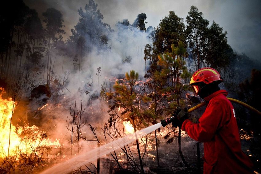 Amazonas investe em prevenção climática e fortalece proteção ambiental