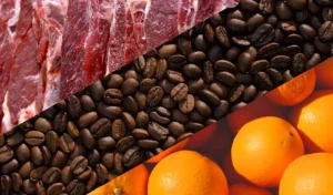 Produtos brasileiros isentos reduzem impactos do tarifaço dos Estados Unidos