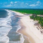 Poluição sonora marinha ameaça ecossistemas