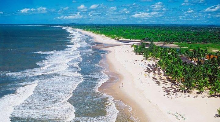 Poluição sonora marinha ameaça ecossistemas