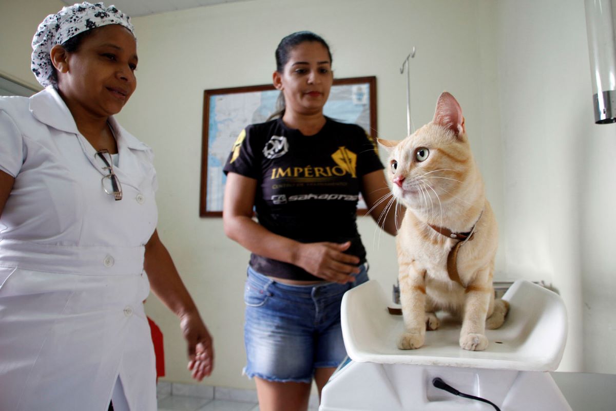 Novas vagas para castração gratuita de pets são abertas em Manaus