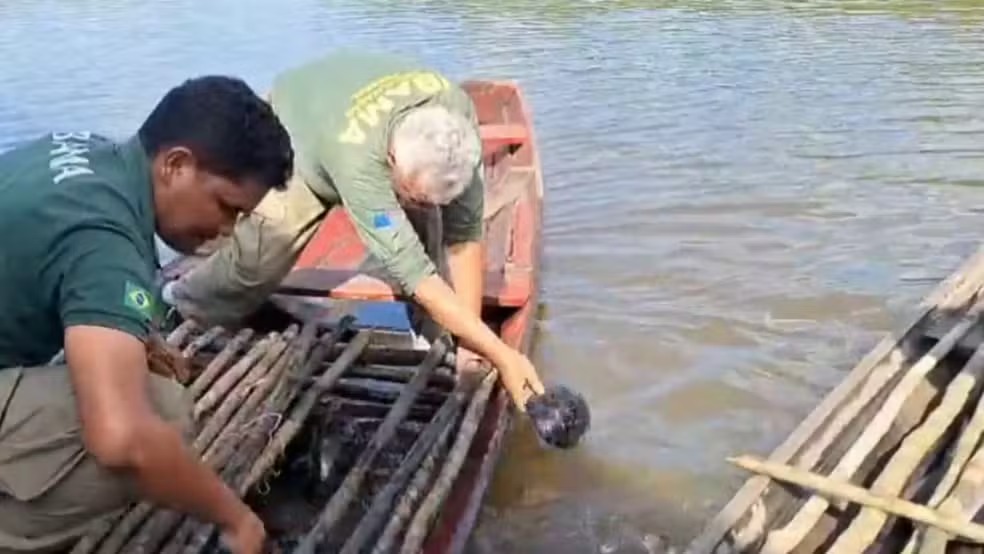 Operação Gaspar deve manter fiscalização contra crimes ambientais no Amazonas