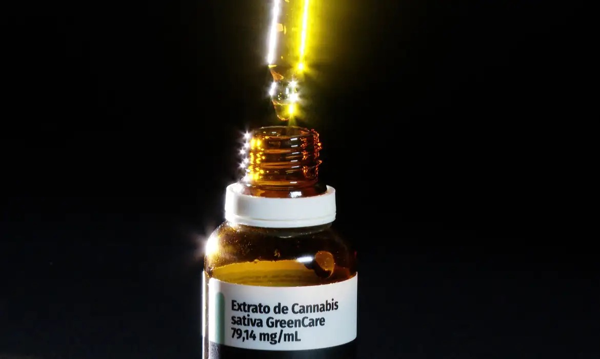 116 mil importações de cannabis medicinal foram autorizadas pela Anvisa