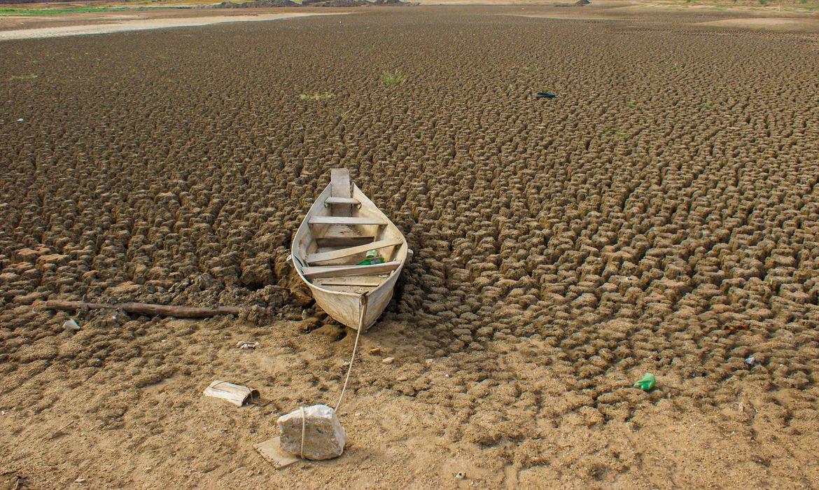 Restauração ambiental exige ações de longo prazo para recuperar terras degradadas