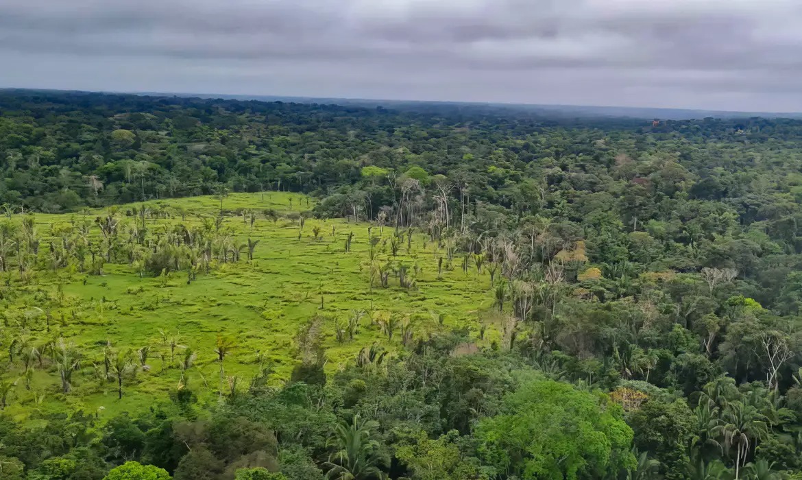 Seis em cada dez terras indígenas tiveram desmatamento zero na Amazônia