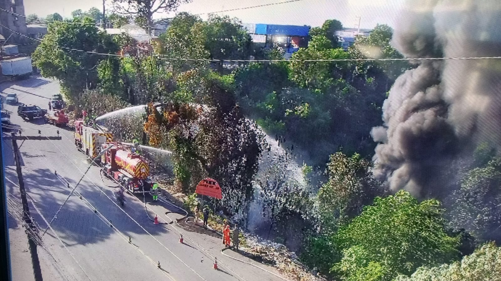 Verão amazônico aumenta risco de incêndios em áreas de mata de Manaus