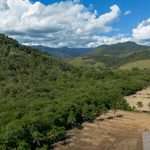 Mata Atlântica tem 63% da área ocupada pela agropecuária