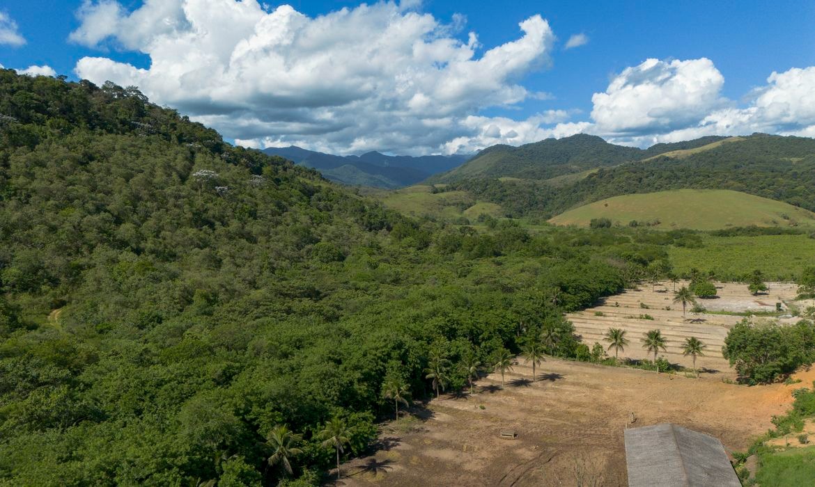 Mata Atlântica tem 63% da área ocupada pela agropecuária